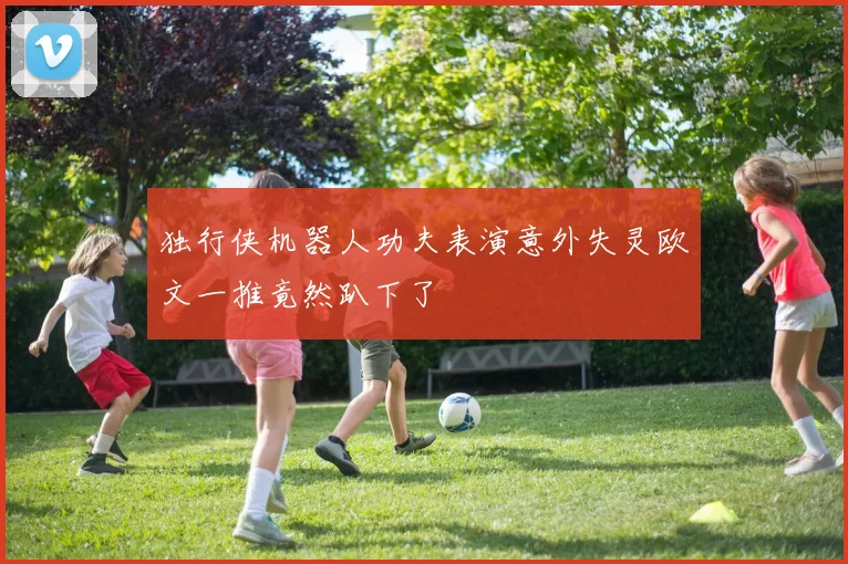 独行侠机器人功夫表演意外失灵欧文一推竟然趴下了